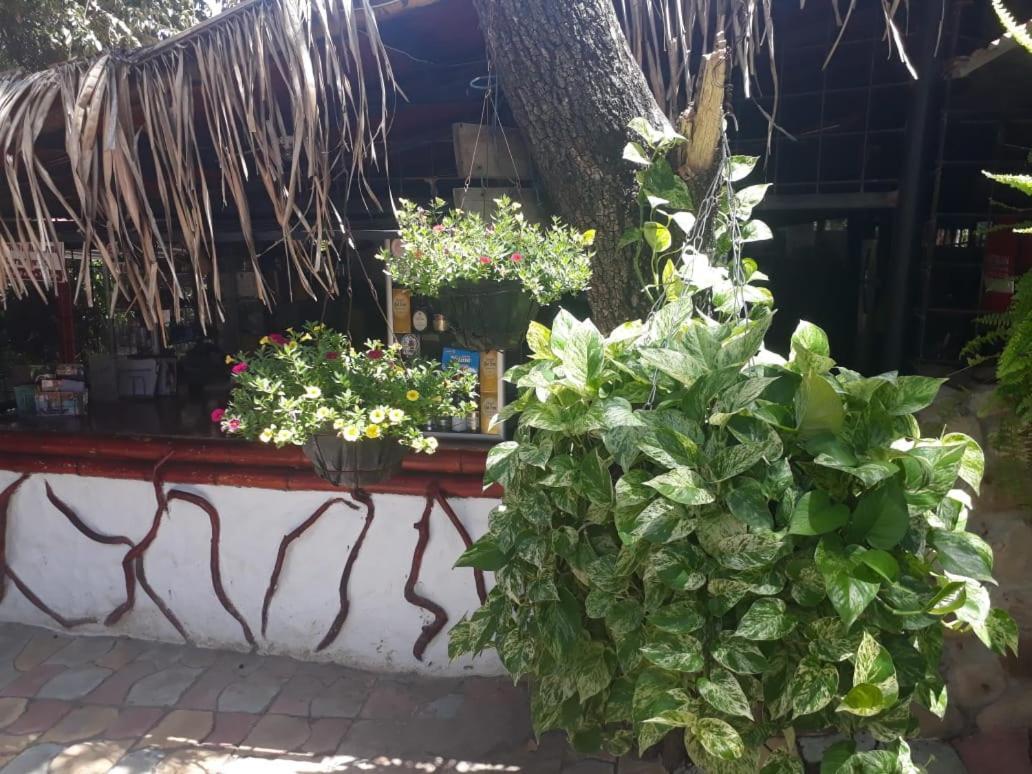El Penon De Constantino - Tatacoa Hotel Villavieja Exterior foto